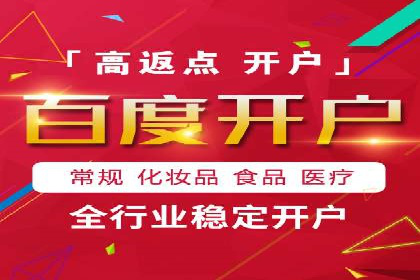 行业领先SEM服务公司案例研究